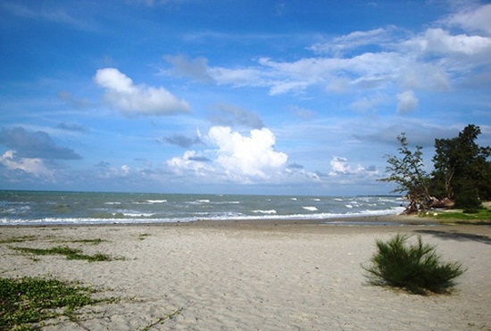 Casuarina Beach